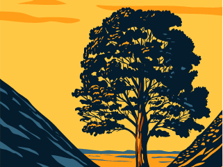 Localization strategy