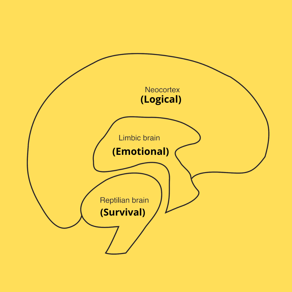 The Neuroscience of customer experience