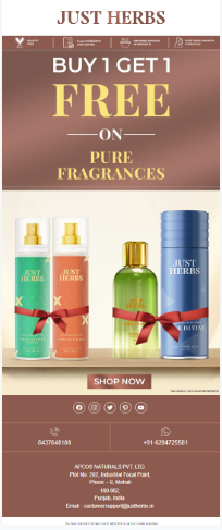 responsive email size